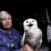Since 1981, One Man Has Relocated Almost 1,000 Snowy Owls from Logan Airport — Colossal